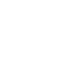 Цял ден превоз